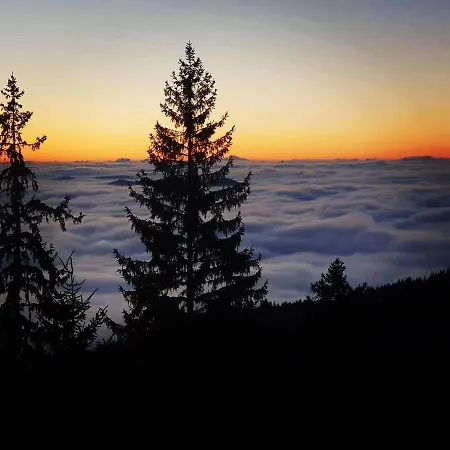 Grand Monastery Private Pamporovo