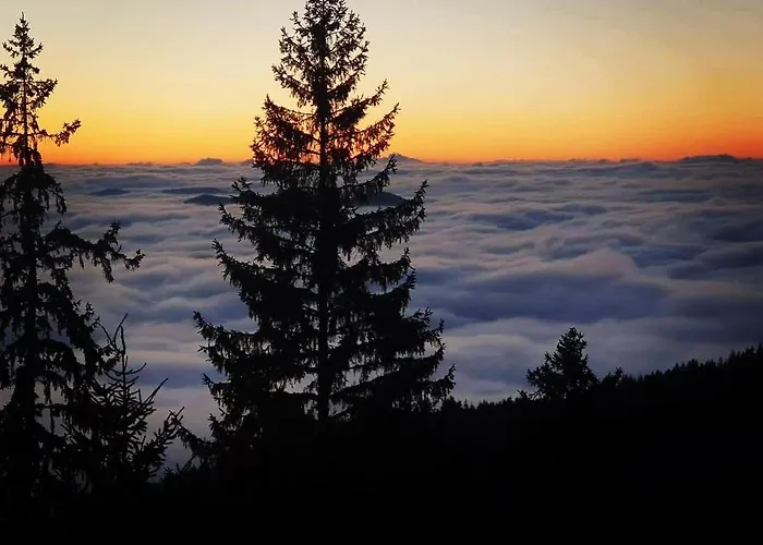 Grand Monastery Private 팜포로보